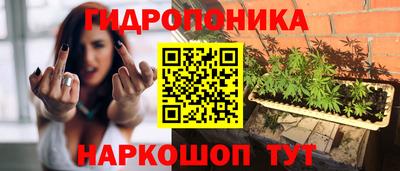 стаф Новодвинск