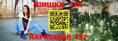 стаф Новодвинск
