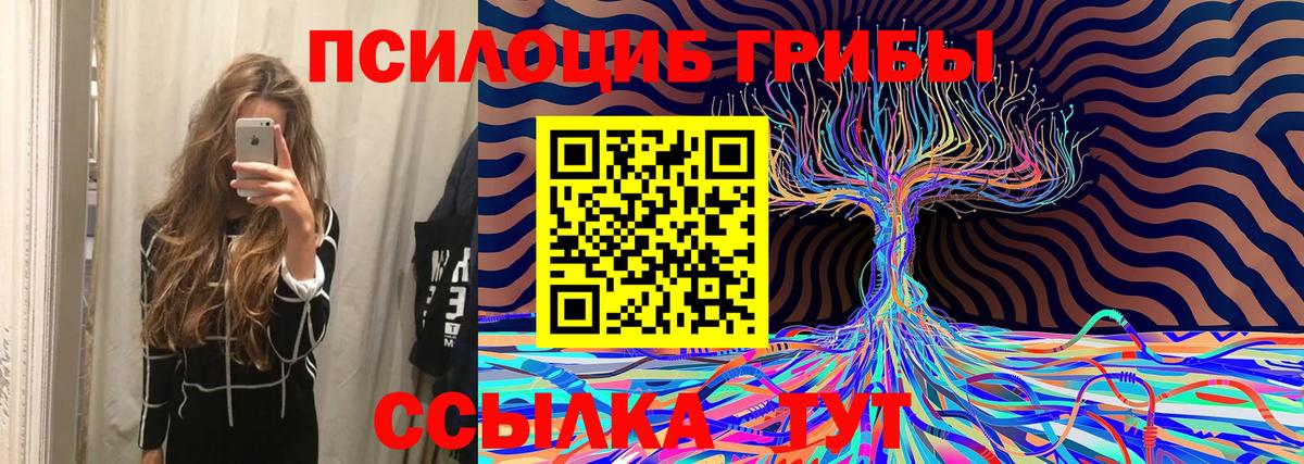 Псилоцибиновые грибы мухоморы Тимашёвск