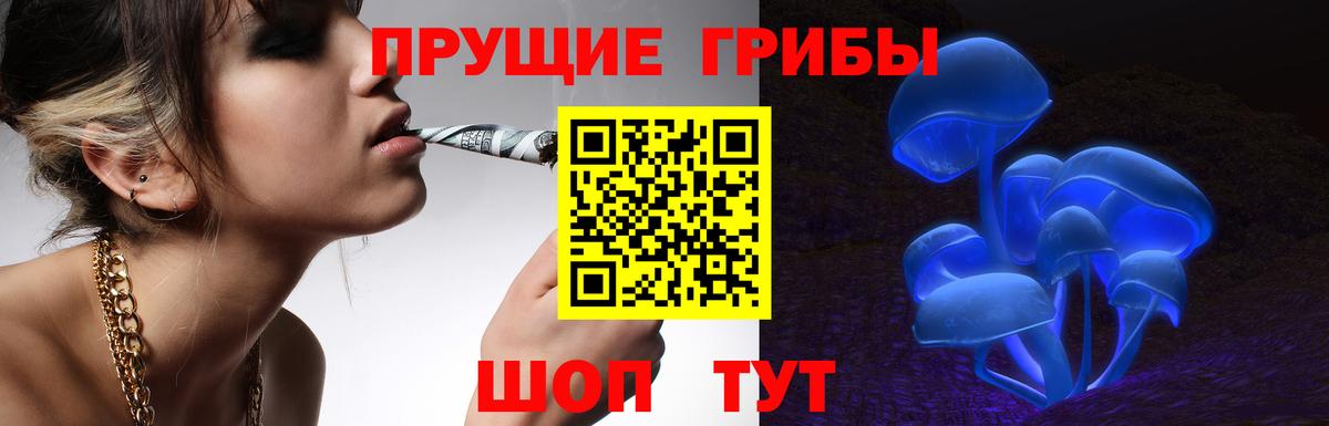 Псилоцибиновые грибы Psilocybine cubensis  Вход с VPN  Тимашёвск  Галлюциногенные грибы мухоморы 